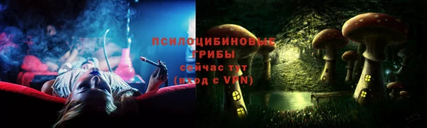 тгк Алзамай