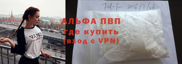 тгк Алзамай