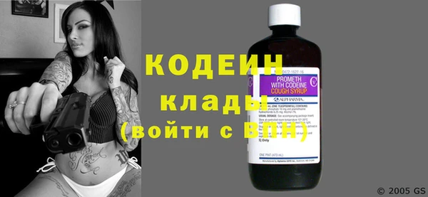 хмурый Алексин