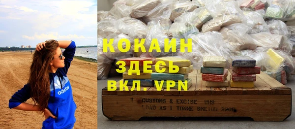 хмурый Алексин