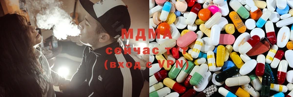 хмурый Алексин