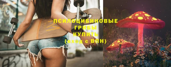 хмурый Алексин